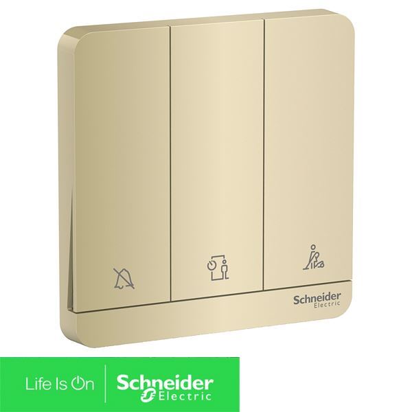 E8333DMWS_WG_G19 Schneider - Công tắc khách sạn, màu vàng