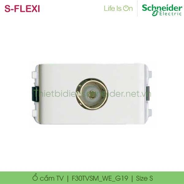 Ổ cắm TV F30TVSM_WE_G19 S-Flexi Schneider, size S