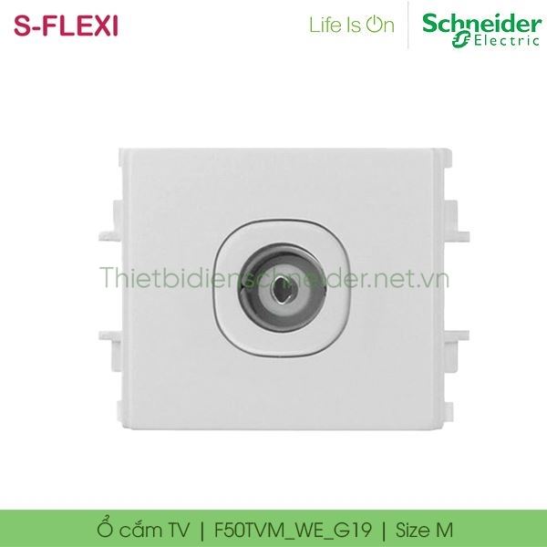 Ổ cắm TV F50TVM_WE_G19 S-Flexi Schneider, size M