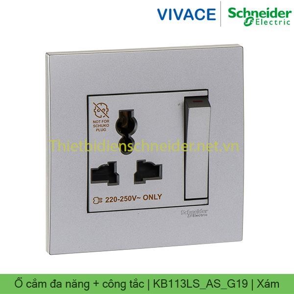 Ổ cắm đơn đa năng có công tắc KB113LS_AS_G19 Vivace Schneider