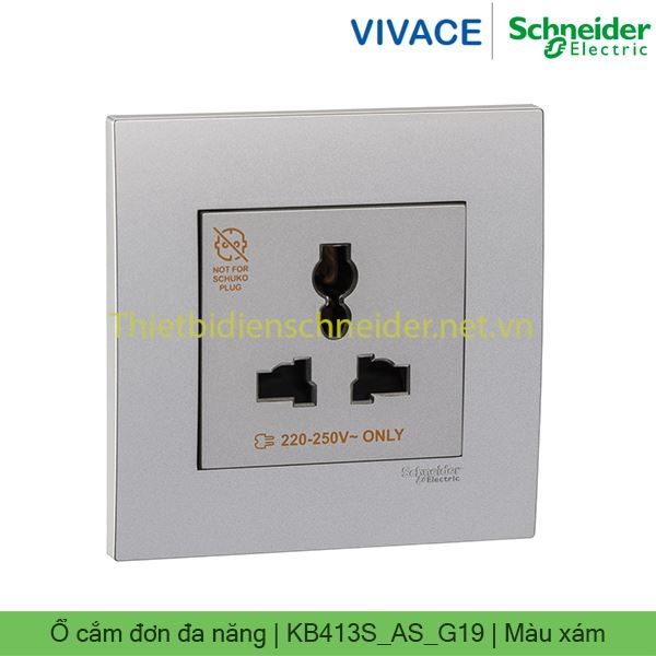 Ổ cắm đơn đa năng 13A KB413S_AS_G19 Vivace Schneider