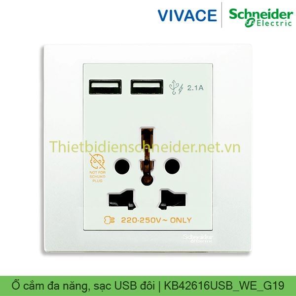 Ổ cắm đa năng, sạc USB đôi KB42616USB_WE_G19 Vivace Schneider