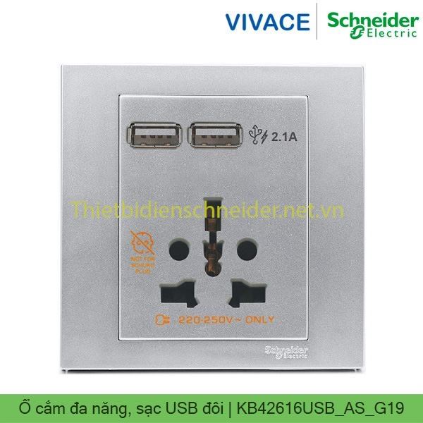 Ổ cắm đa năng, sạc USB đôi KB42616USB_AS_G19 Vivace Schneider