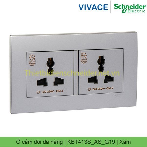 Ổ cắm đôi đa năng KBT413S_AS_G19 Vivace Schneider