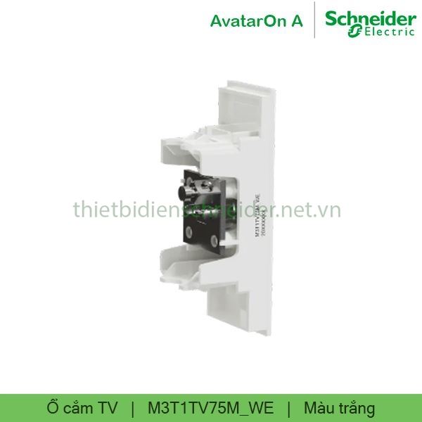 M3T1TV75M_WE AvatarOn A Schneider